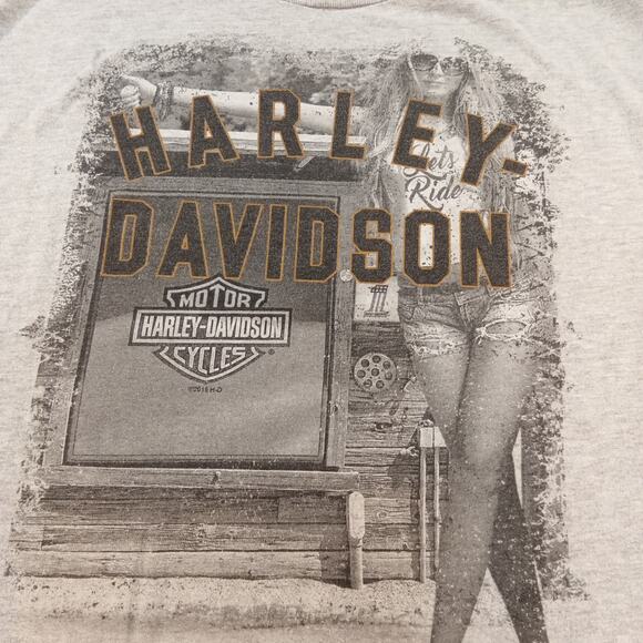 Harley-Davidson Men’s XL Gray Graphic T-Shirt Hillbilly Harley Gatlinburg - Picture 3 of 7